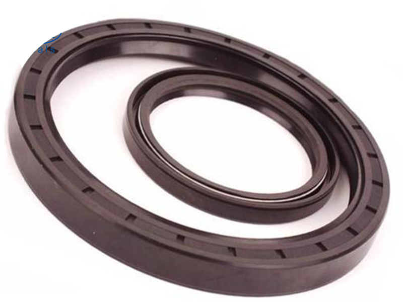 Oil Seal
